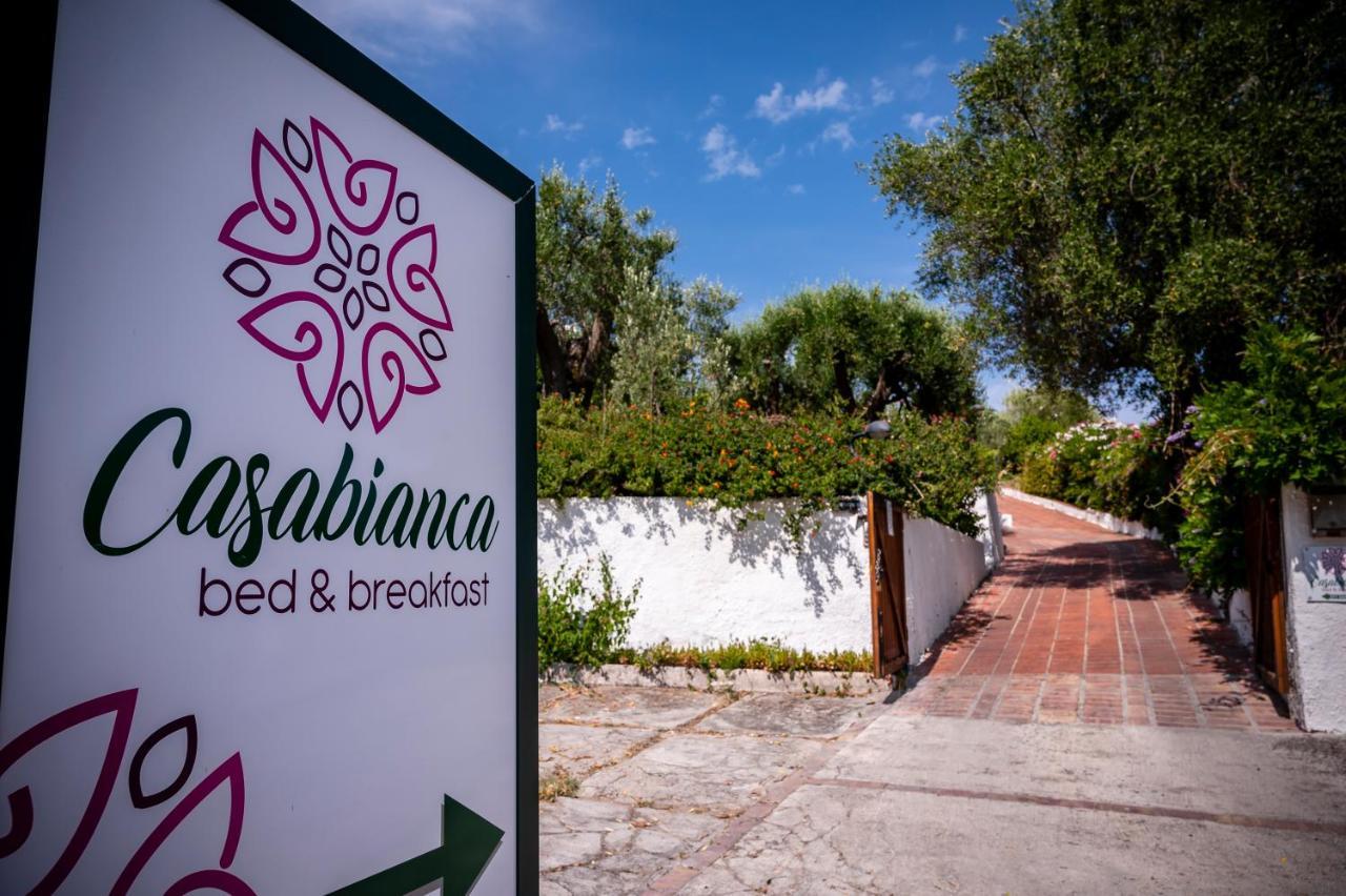 B&B Casabianca بالينورو المظهر الخارجي الصورة
